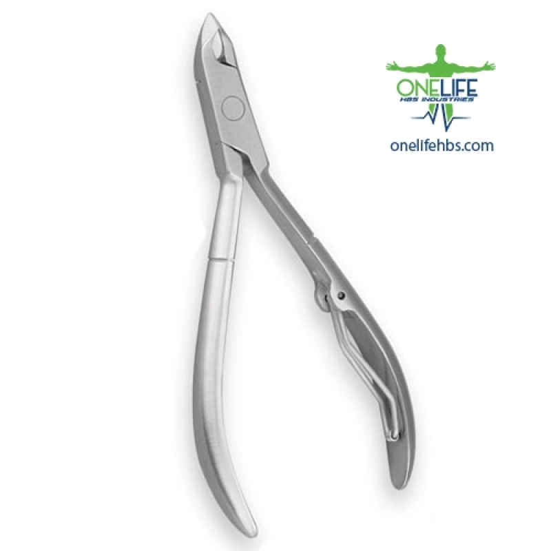 Upper Centrals and Canines